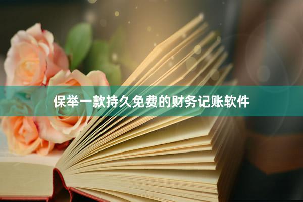 保举一款持久免费的财务记账软件