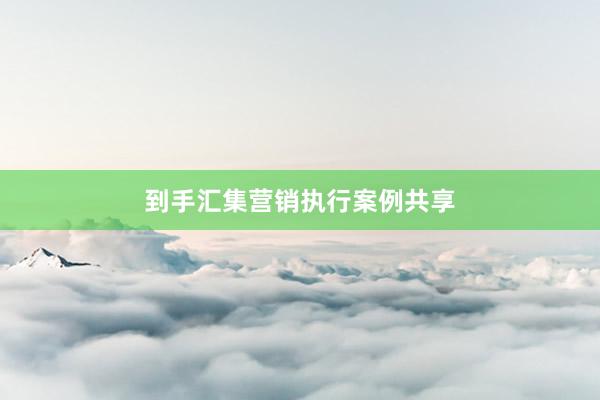 到手汇集营销执行案例共享