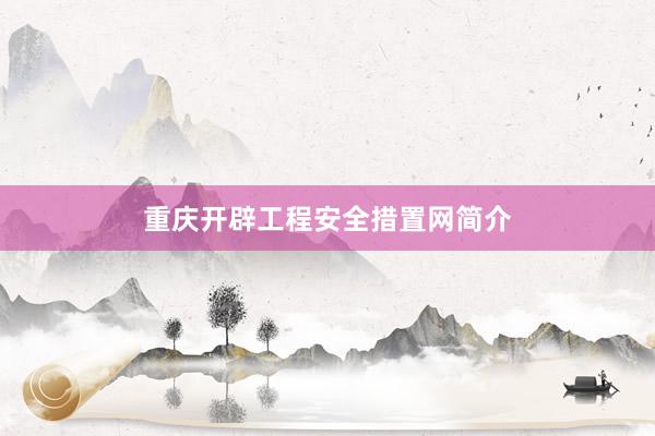 重庆开辟工程安全措置网简介