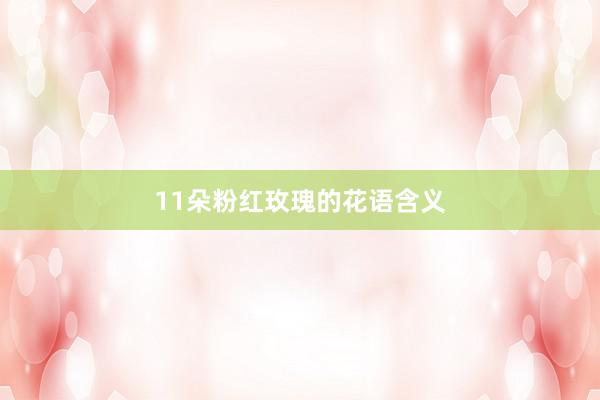 11朵粉红玫瑰的花语含义